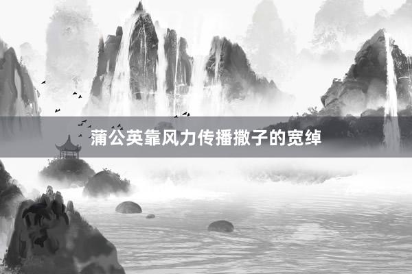 蒲公英靠风力传播撒子的宽绰