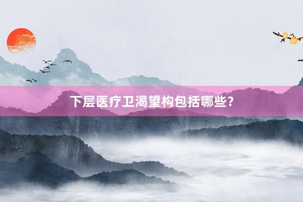 下层医疗卫渴望构包括哪些？