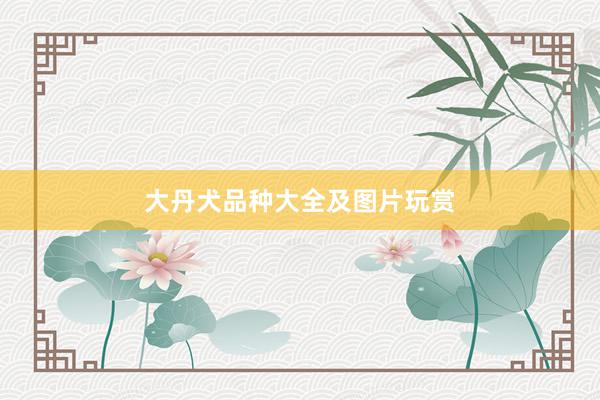 大丹犬品种大全及图片玩赏