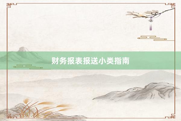 财务报表报送小类指南